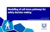 Modelling of cell stress pathways for safety decision making
