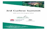 3rd Curlew Summit
