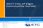 2017 Community Survey Full Report - Elgin, Illinois