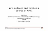kok Surfaces and Fomites - Home - WSLHD