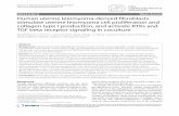 ResearchHuman uterine leiomyoma-derived fibroblasts ...