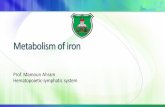 Metabolism in iron - sc19.weebly.com
