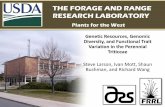 THE FORAGE AND RANGE RESEARCH LABORATORY THE …
