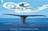 ENGLISH - Whale Watch