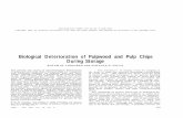 Biological deterioration of pulpwood and pulp chips during ...