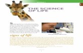 THE SCIENCE OF LIFE S