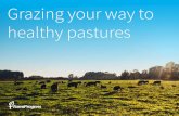 Grazing your way to healthy pastures