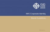 NHS Corporate Identity Brand Guidlines