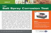 Salt Spray Corrosion Test