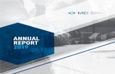 ANNUAL REPORT 2019 - IEDM/MEI