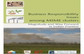 Business Responsibility in Indian Clusters