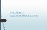 Biosphere, Biogeochemical Cycles & Energy!