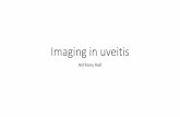 Imaging in uveitis - Conference Design
