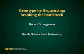 Genotype-by-Sequencing; breaking the bottleneck
