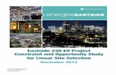 Eastside 230 kV Project Constraint and Opportunity Study ...