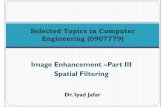 Selected Topics in Computer Engineering (0907779)