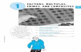 Factors, Multiples, Primes, and Composites