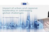 Impact of urban and regional leadership in addressing ...