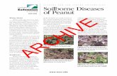 Soilborne Diseases of Peanut