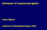 Diseases of suprarenal gland