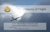 Theory of Flight - 608 Dukes - Home