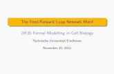 The Feed-Forward Loop Network Motif