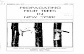 propagating fruit trees in new york - Cornell University
