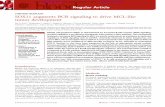 SOX11 augments BCR signaling to drive MCL-like tumor ...