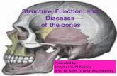 Structure, Function, and Diseases of the bones