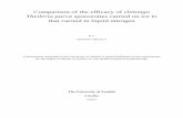 Comparison of the efficacy of chitongo Theileria parva ...