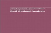 Real Options Analysis - DSTA