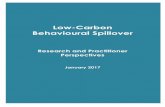 Low-Carbon Behavioural Spillover