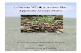 Rare Plant Colorado Wildlife Action Plant