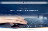 29 August 2021 SAP HANA – Introduction