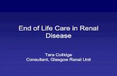 Disease End of Life Care in Renal