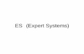 ES (Expert Systems) - Keio University