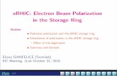 eRHIC: Electron Beam Polarization in the Storage Ring