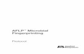 AFLP Microbial Fingerprinting