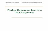 Finding Regulatory Motifs in DNA Sequences - TIME.mk