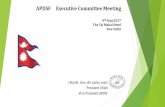 APDSF Executive Committee Meeting