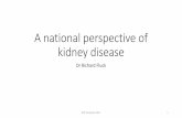 A national perspective of kidney disease