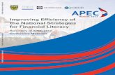 Improving Efﬁciency of the National Strategies for ...