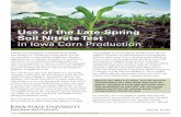 Use of the Late-Spring Soil Nitrate Test in Iowa Corn ...