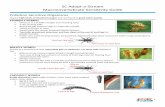 SC Adopt-a-Stream Macroinvertebrate Sensitivity Guide