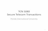 TCN 5080 Secure Telecom Transactions