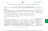 ELITA consensus statements on the use of DAAs in liver ...