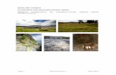 HIGHLAND COUNCIL STANDARDS FOR ARCHAEOLOGICAL WORK …