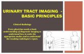Urinary Tract Imaging- Basic Principles