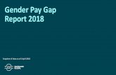 Gender Pay Gap Report 2018 - Safeguard Global