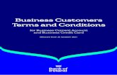 Business Customers Terms and Conditions